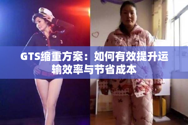 GTS缩重方案：如何有效提升运输效率与节省成本