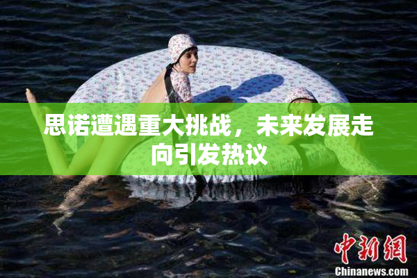 思诺遭遇重大挑战，未来发展走向引发热议
