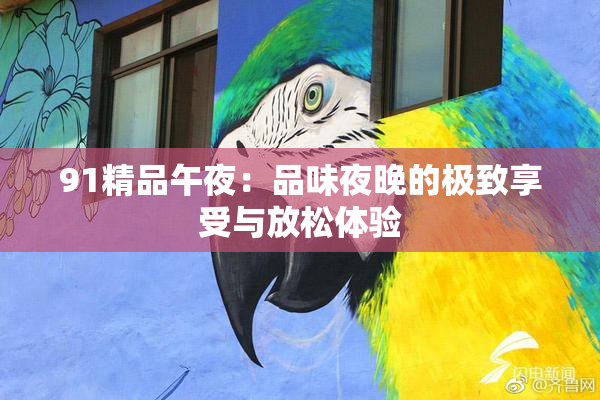 91精品午夜：品味夜晚的极致享受与放松体验