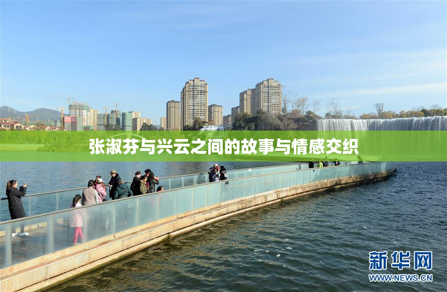 张淑芬与兴云之间的故事与情感交织