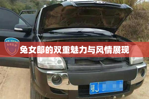 兔女郎的双重魅力与风情展现