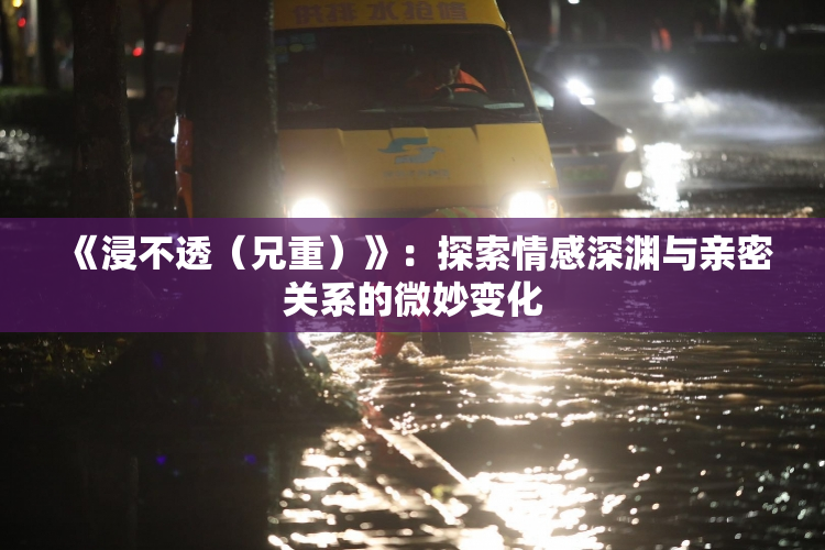 《浸不透（兄重）》：探索情感深渊与亲密关系的微妙变化