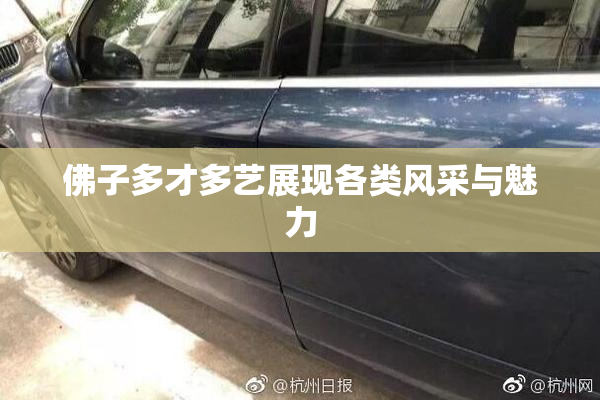佛子多才多艺展现各类风采与魅力