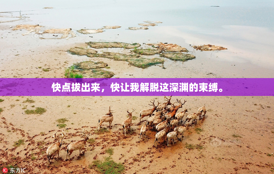 快点拔出来，快让我解脱这深渊的束缚。