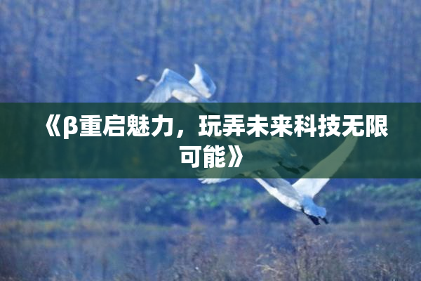 《β重启魅力，玩弄未来科技无限可能》