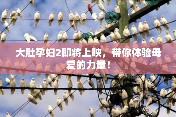 大肚孕妇2即将上映，带你体验母爱的力量！