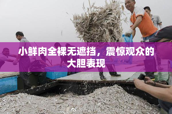 小鲜肉全裸无遮挡，震惊观众的大胆表现