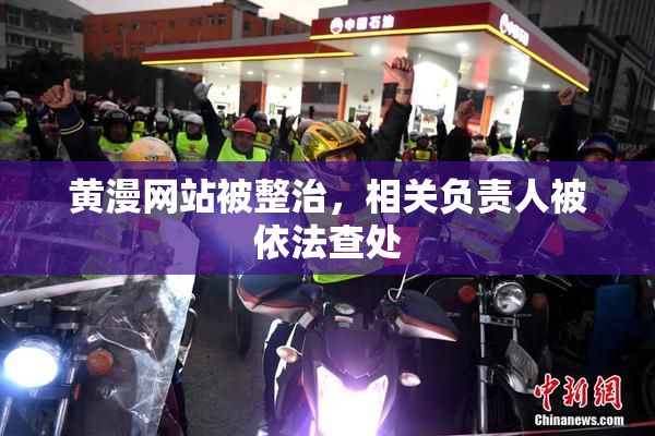 黄漫网站被整治，相关负责人被依法查处