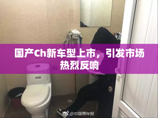 国产Ch新车型上市，引发市场热烈反响