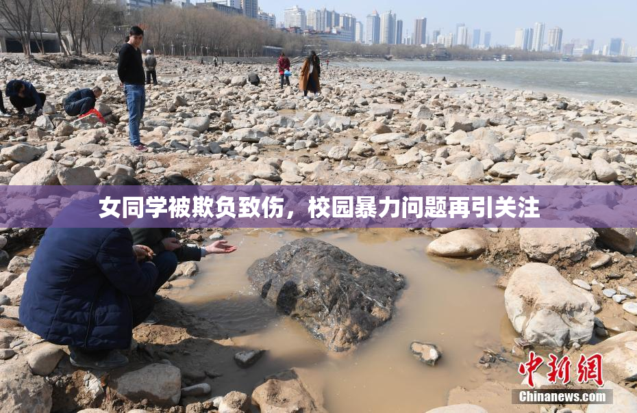 女同学被欺负致伤，校园暴力问题再引关注