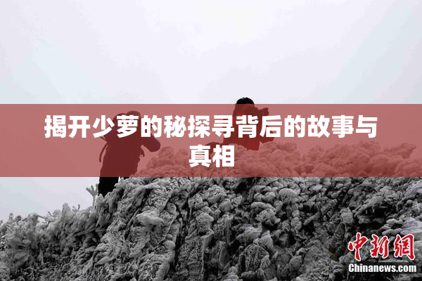 揭开少萝的秘探寻背后的故事与真相