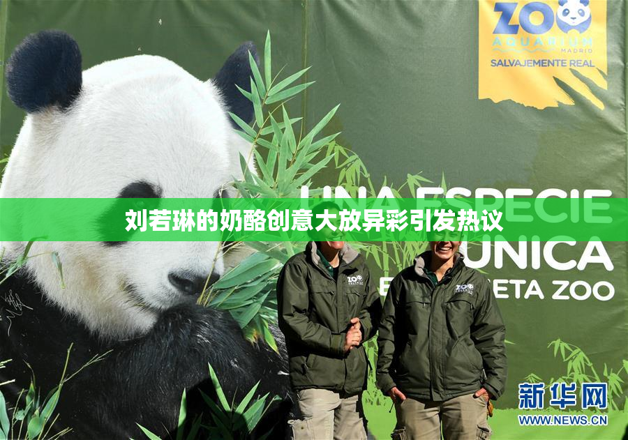 刘若琳的奶酪创意大放异彩引发热议