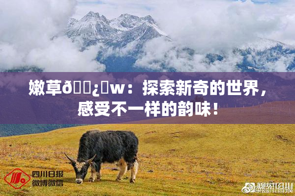 嫩草🌿‌w：探索新奇的世界，感受不一样的韵味！