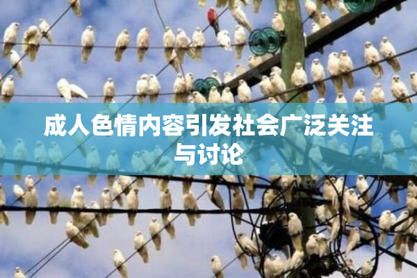 成人色情内容引发社会广泛关注与讨论