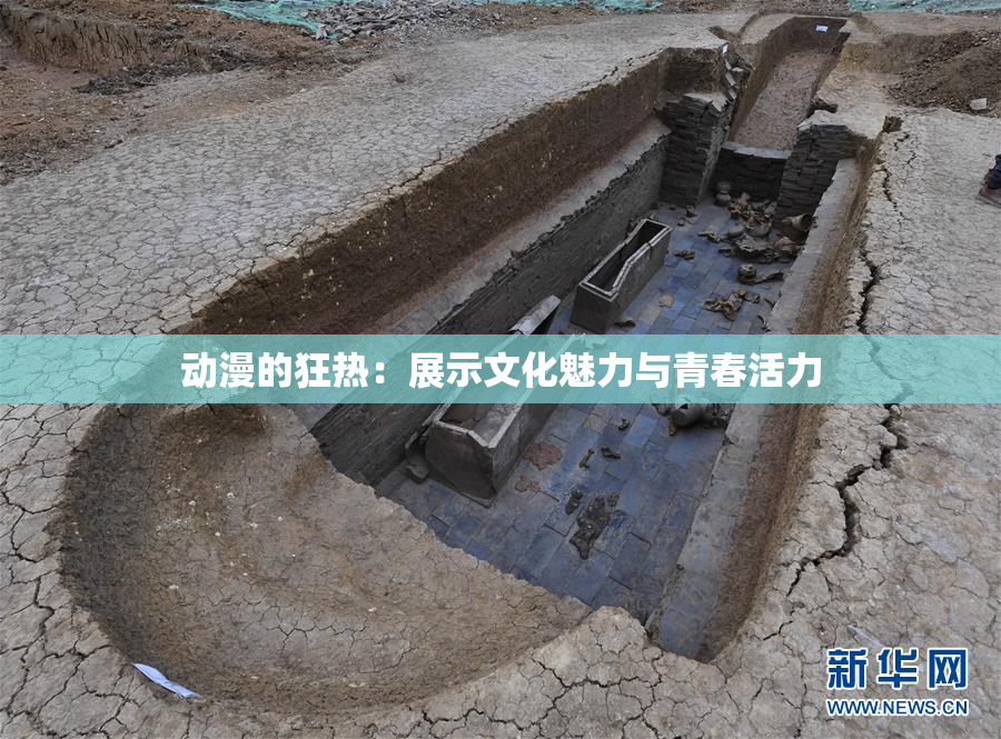 动漫的狂热：展示文化魅力与青春活力