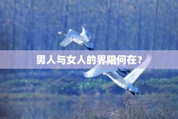 男人与女人的界限何在？