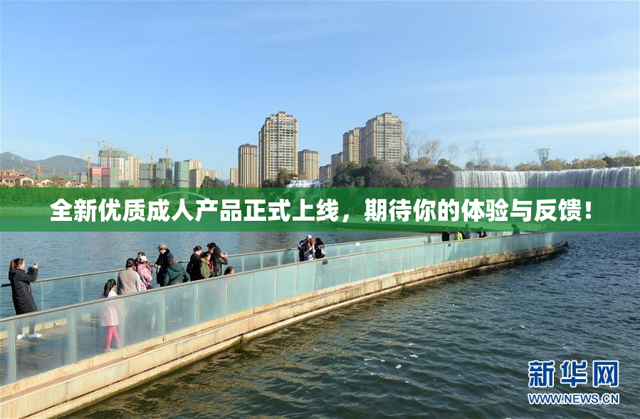 全新优质成人产品正式上线，期待你的体验与反馈！