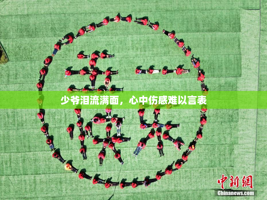 少爷泪流满面，心中伤感难以言表