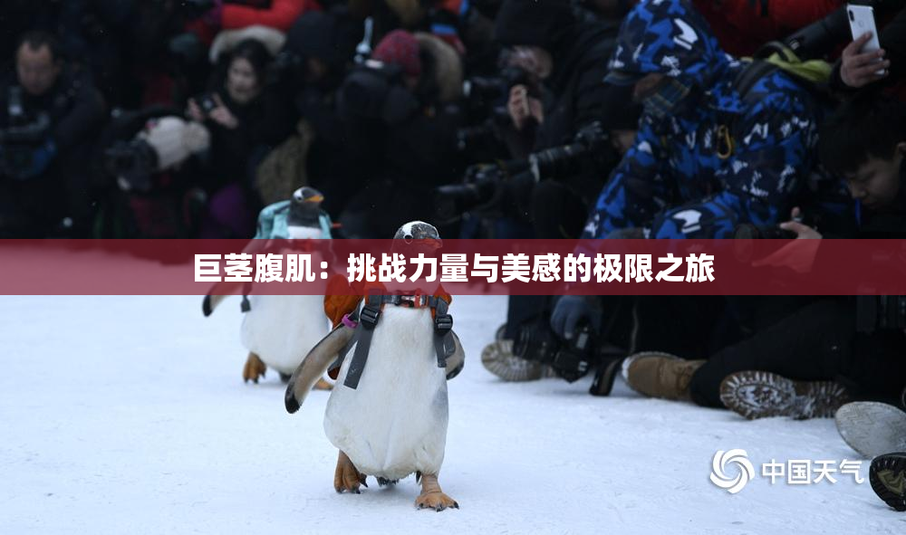 巨茎腹肌：挑战力量与美感的极限之旅
