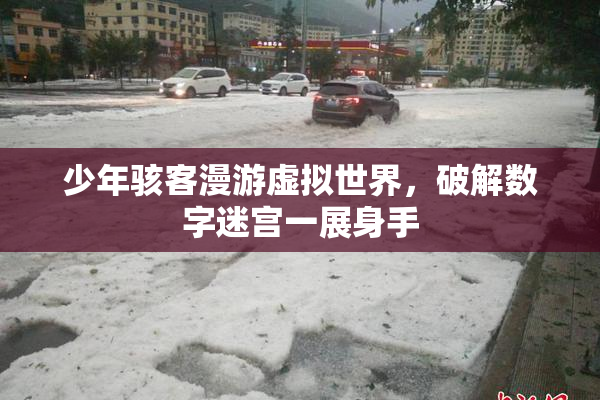 少年骇客漫游虚拟世界，破解数字迷宫一展身手