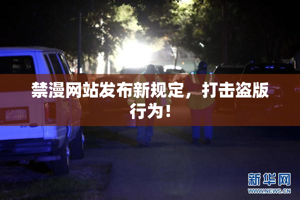 禁漫网站发布新规定，打击盗版行为！