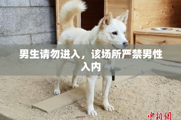 男生请勿进入，该场所严禁男性入内
