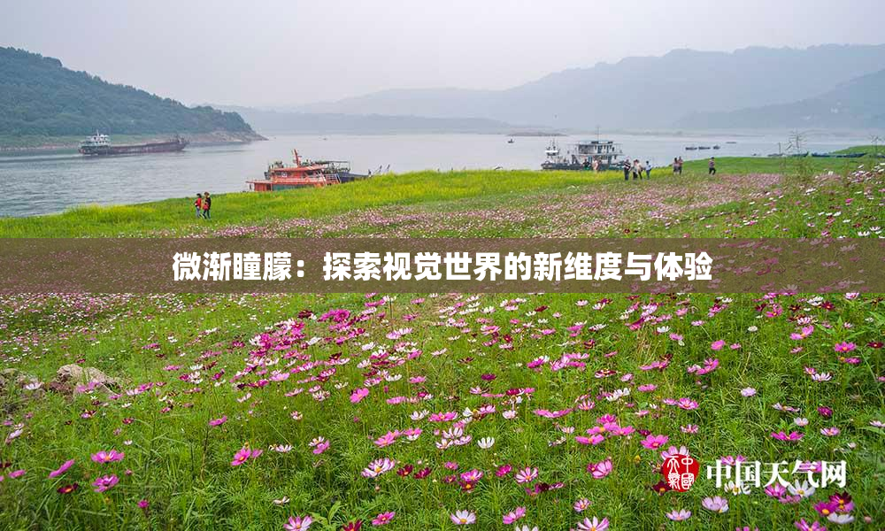 微渐瞳朦：探索视觉世界的新维度与体验