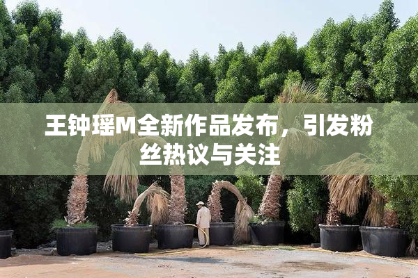 王钟瑶M全新作品发布，引发粉丝热议与关注