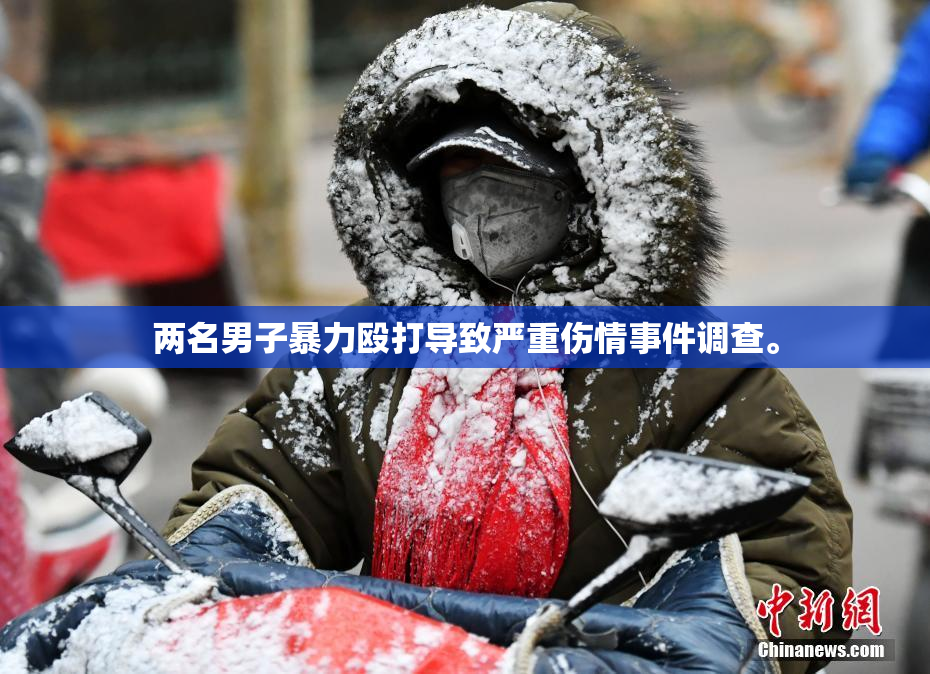 两名男子暴力殴打导致严重伤情事件调查。