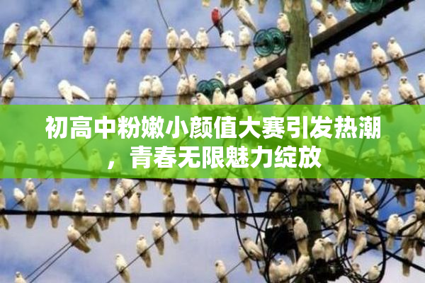 初高中粉嫩小颜值大赛引发热潮，青春无限魅力绽放