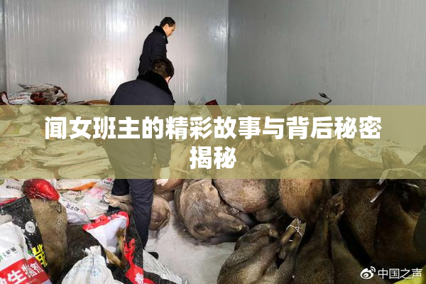闻女班主的精彩故事与背后秘密揭秘