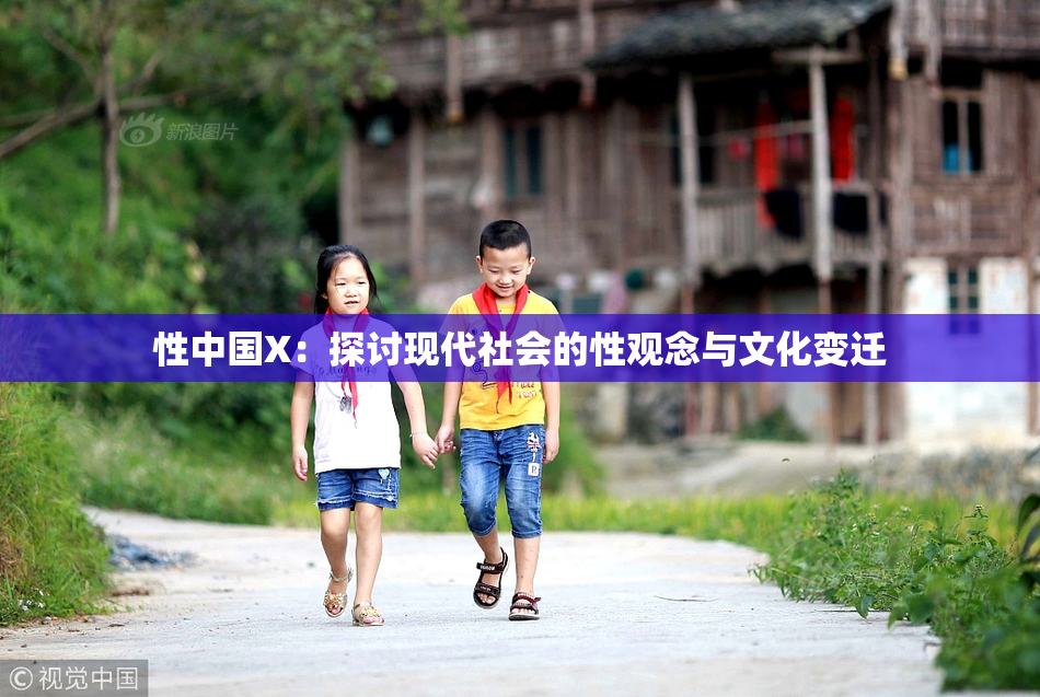 性中国X：探讨现代社会的性观念与文化变迁