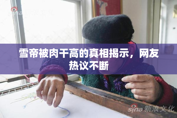 雪帝被肉干高的真相揭示，网友热议不断