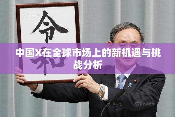 中国X在全球市场上的新机遇与挑战分析