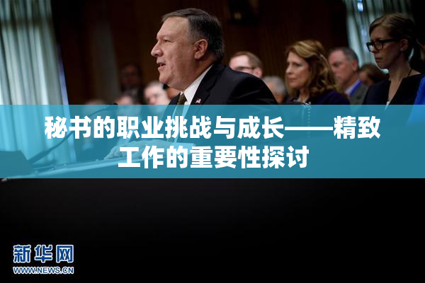 秘书的职业挑战与成长——精致工作的重要性探讨