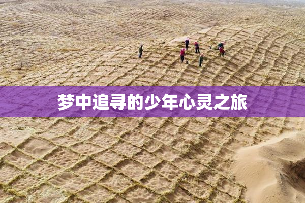 梦中追寻的少年心灵之旅