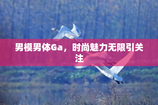 男模男体Ga，时尚魅力无限引关注
