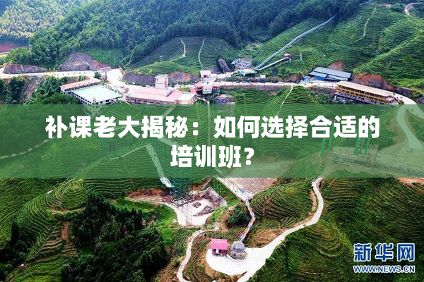 补课老大揭秘：如何选择合适的培训班？