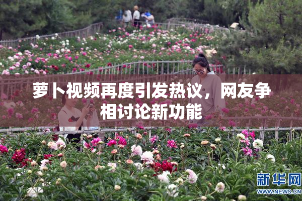 萝卜视频再度引发热议，网友争相讨论新功能