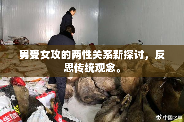 男受女攻的两性关系新探讨，反思传统观念。