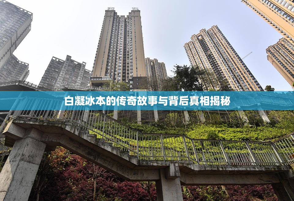 白凝冰本的传奇故事与背后真相揭秘