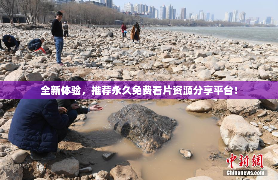 全新体验，推荐永久免费看片资源分享平台！