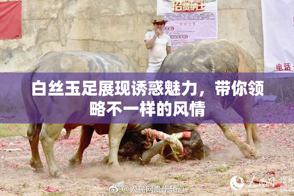 白丝玉足展现诱惑魅力，带你领略不一样的风情