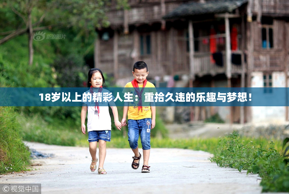 18岁以上的精彩人生：重拾久违的乐趣与梦想！