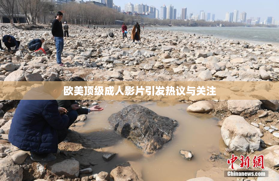 欧美顶级成人影片引发热议与关注