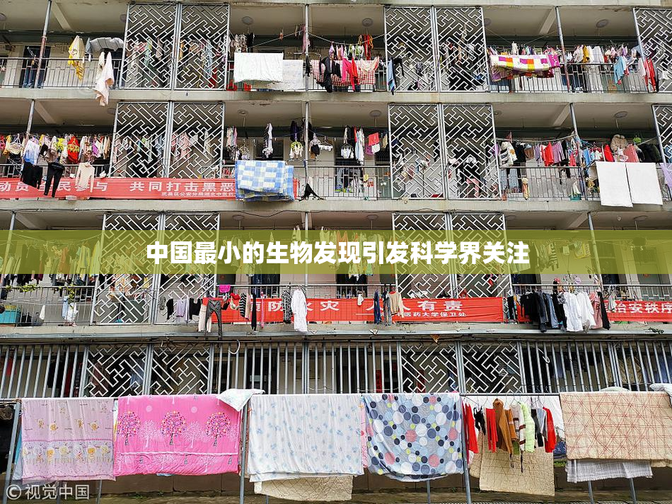 中国最小的生物发现引发科学界关注