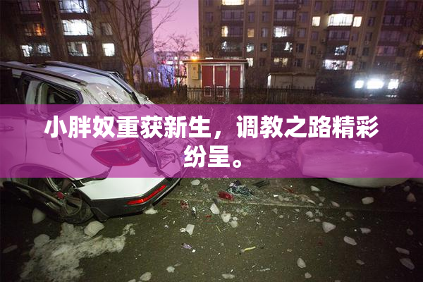 小胖奴重获新生，调教之路精彩纷呈。