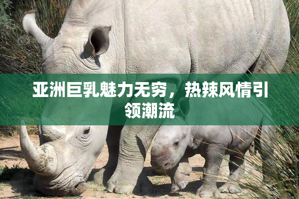 亚洲巨乳魅力无穷，热辣风情引领潮流