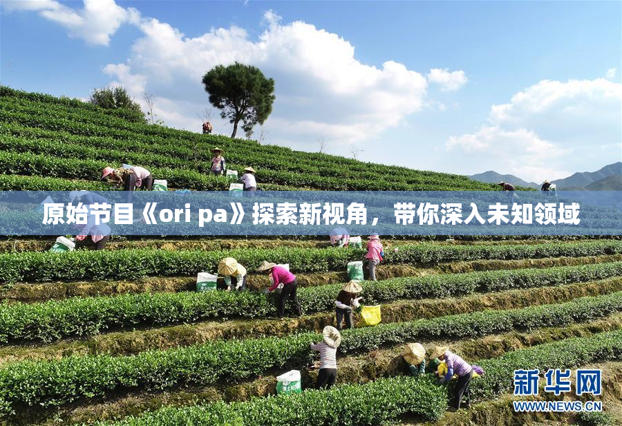 原始节目《ori pa》探索新视角，带你深入未知领域