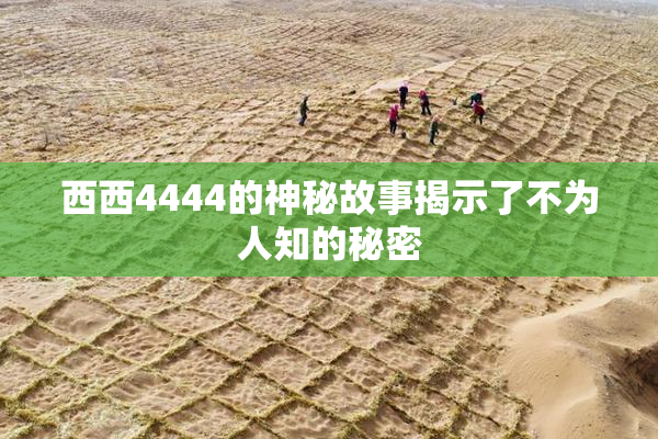 西西4444的神秘故事揭示了不为人知的秘密